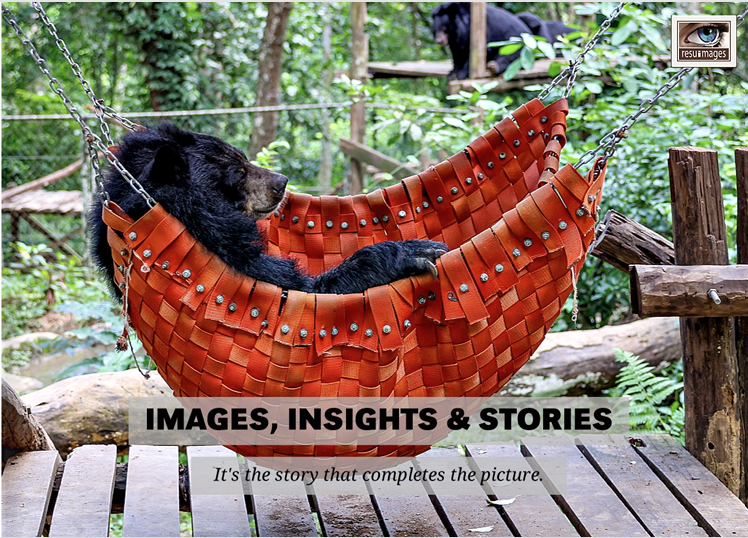 Images, Insights & Stories