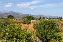 Mallorca (19)