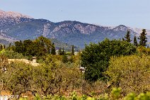 Mallorca (23)