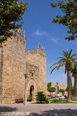 Mallorca (61)