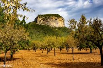 Mallorca (78)