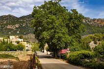 Mallorca (81)