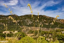 Mallorca (87)