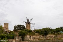 Mallorca (140)