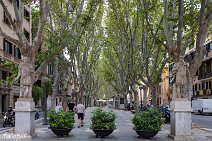 Mallorca (143)