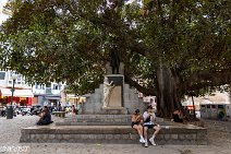 Mallorca (144)
