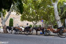Mallorca (148)