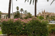 Mallorca (156)