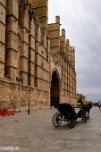 Mallorca (162)