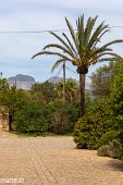 Mallorca (173)