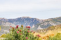 Mallorca (196)