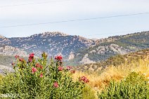Mallorca (199)