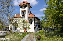 Rumänien (55)