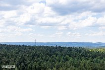 Flying-Fox_220821_033