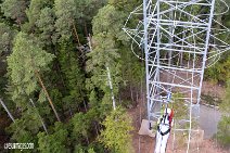 Flying-Fox_220821_045