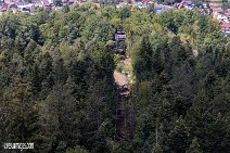 Flying-Fox_220821_052