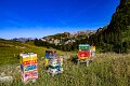 Swiss Canton of Uri (20)