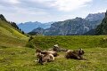 Swiss Canton of Uri (43)