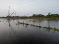 Assam (33)