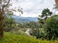 Arunachal Pradesh (22)