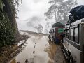 Arunachal Pradesh (29)