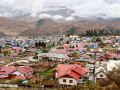 Arunachal Pradesh (50)