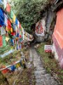 Arunachal Pradesh (67)