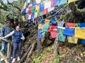 Arunachal Pradesh (71)