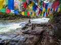 Arunachal Pradesh (75)