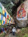 Arunachal Pradesh (82)