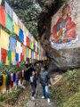 Arunachal Pradesh (83)