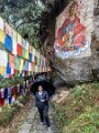 Arunachal Pradesh (84)