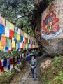Arunachal Pradesh (85)
