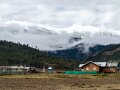 Arunachal Pradesh (93)