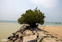 Thailand (18)