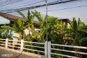Thailand (31)