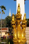 Thailand (9)