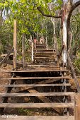 Thailand (26)