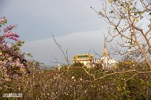 Thailand (65)