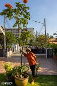 Thailand (73)