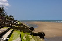 Thailand (102)