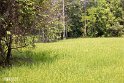 Kambodscha (41)