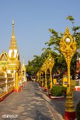 Thailand (15)