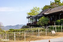 Thailand (53)