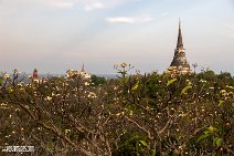Thailand (64)