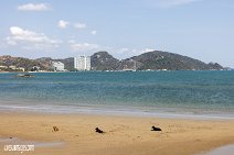 Thailand (87)