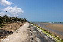 Thailand (101)