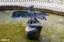 Schwetzingen (46)