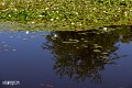 Rastatt (7)