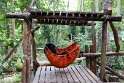 Laos (29)
